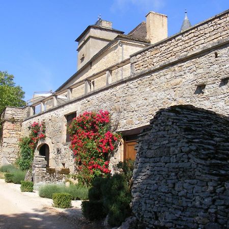 Chateau De Laumiere Promilhanes Ngoại thất bức ảnh