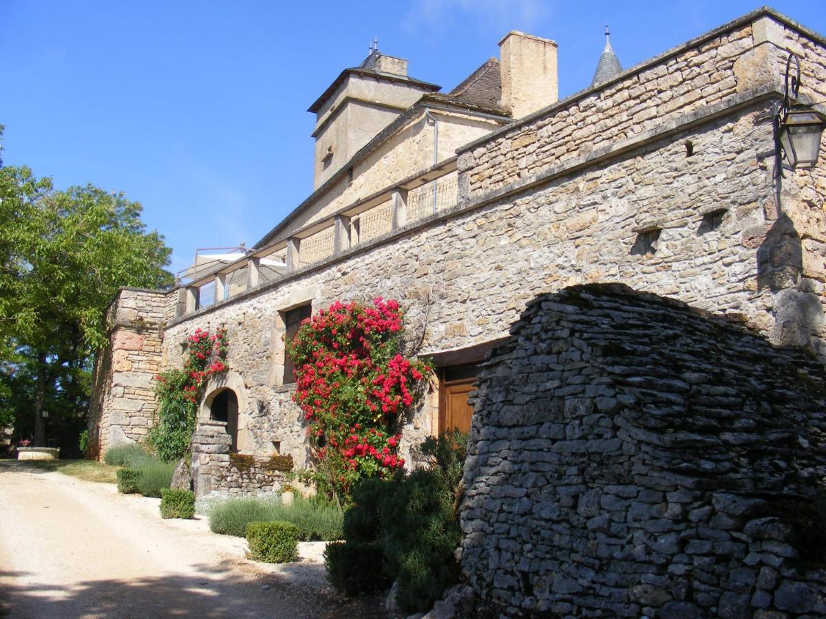 Chateau De Laumiere Promilhanes Ngoại thất bức ảnh
